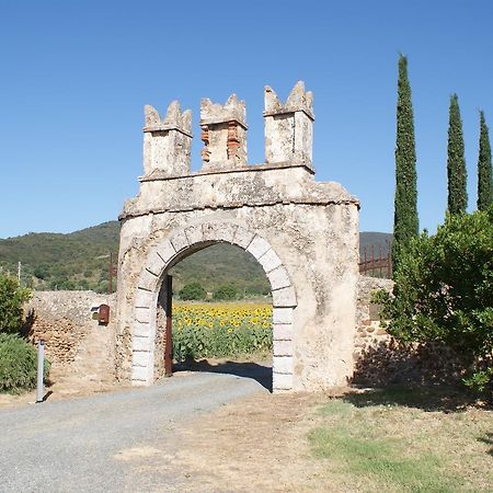 Vignamurata Castiglione della Pescaia Ngoại thất bức ảnh